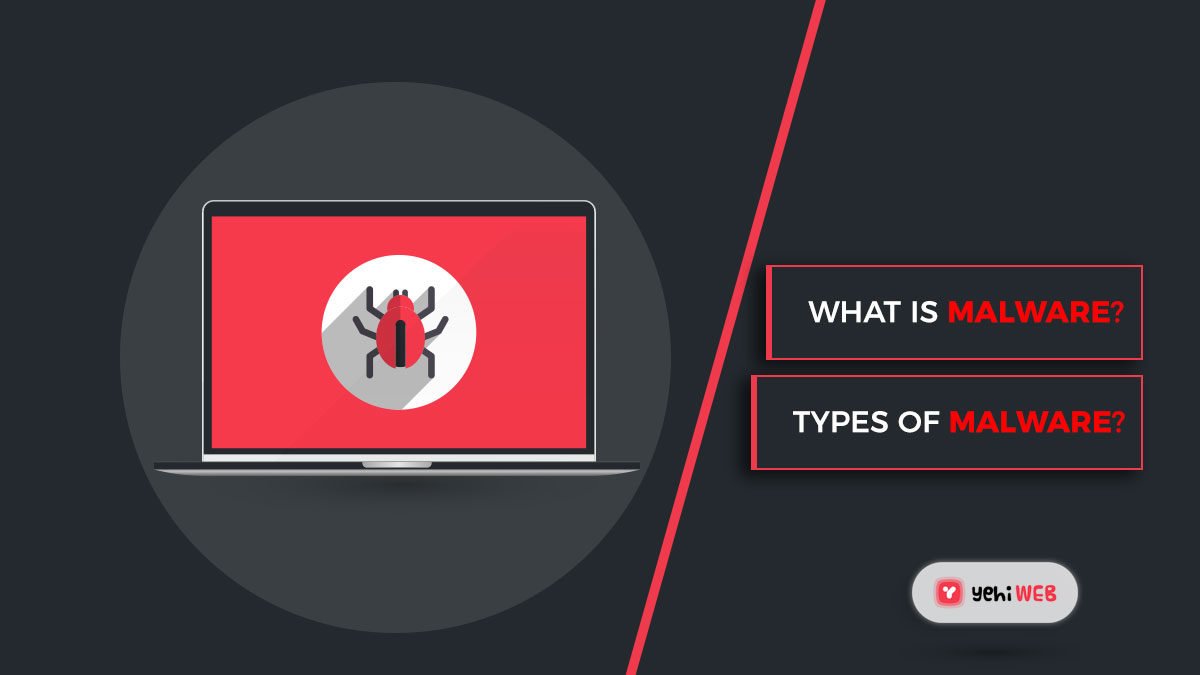 What is malware and what are the most common types of malware?