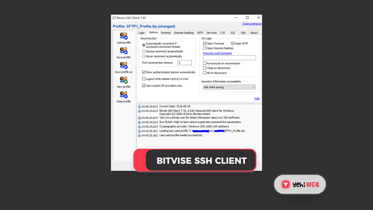 free for ios instal Bitvise SSH Client 9.31