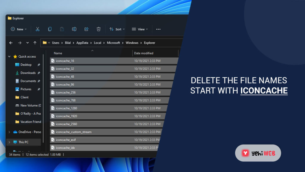 delete the file names starts with iconcache yehiweb