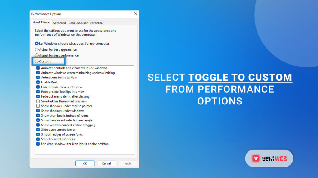 select toggle to custom from performance options yehiweb