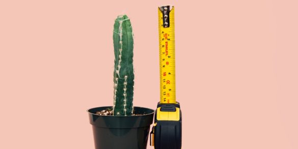 Measuring Success