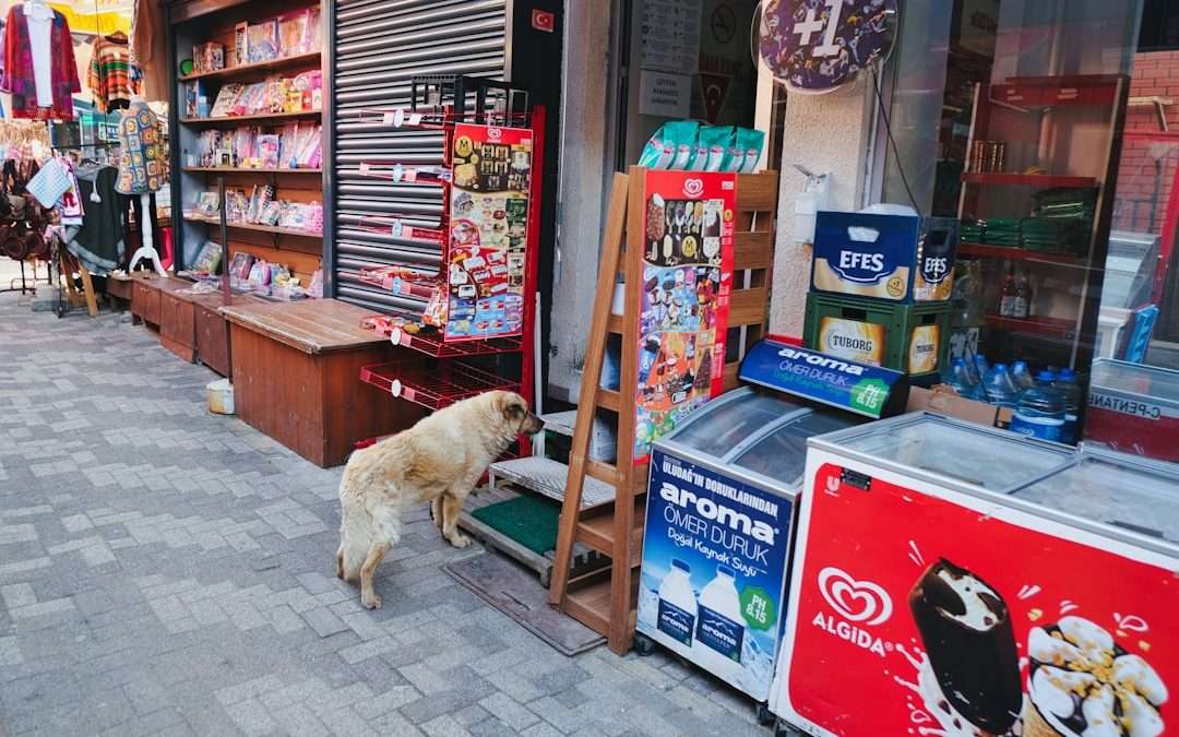 3 Car Wash Management Tools That Help Track Performance And Revenue