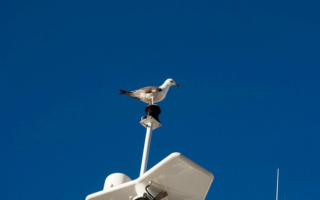 Top Skills and Certifications Needed to Become a Successful Monitoring Centre Operator in America