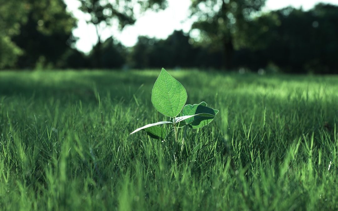 Website fixes and help options at Fixed.net