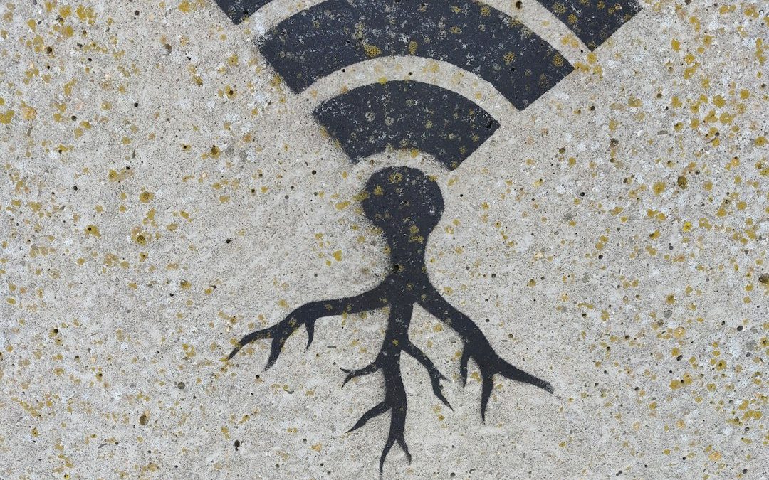 Wi-Fi Standards Guide: What Each Version Means