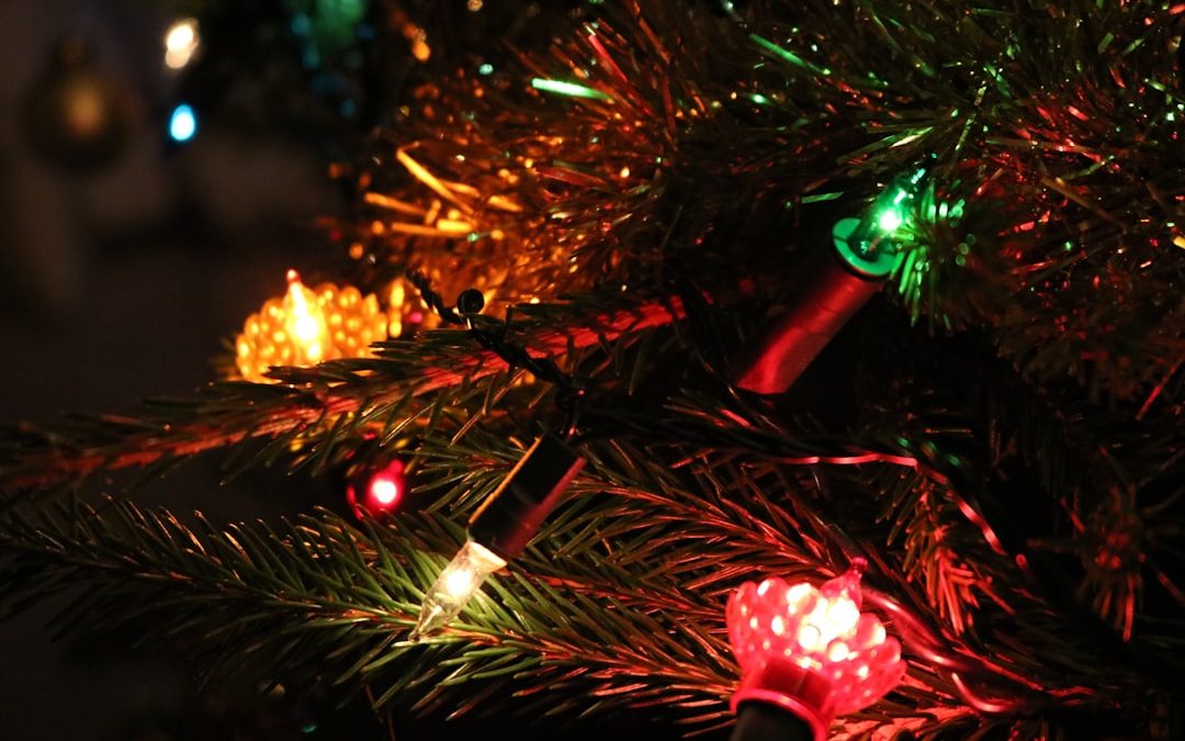 Holiday Tree Light Recalls: How to Check Model Numbers and Refunds