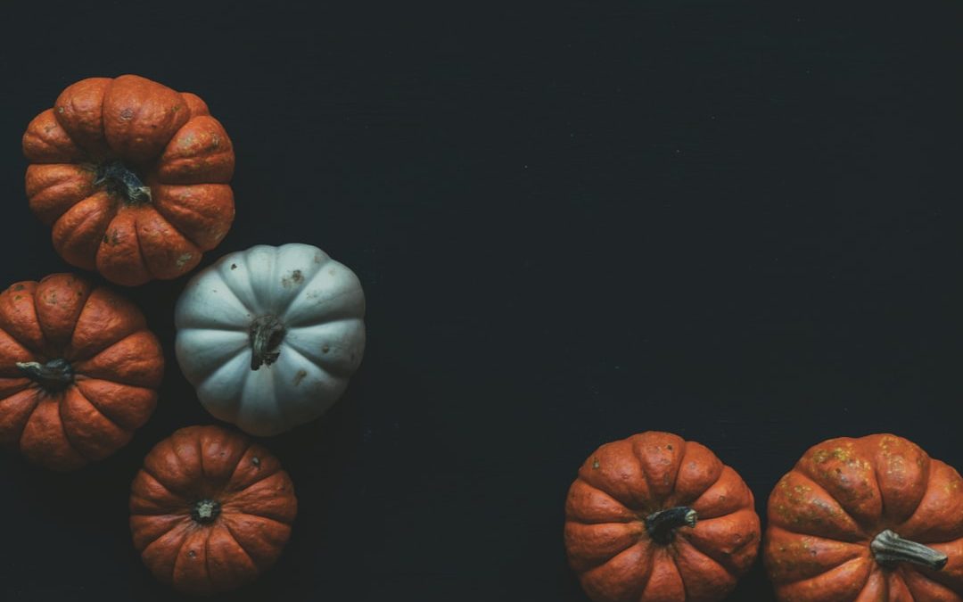 Blue and Orange Color Palettes