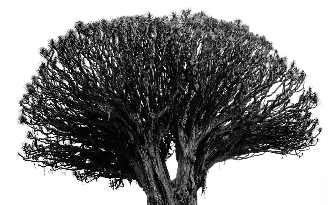 How to Generate Intermediate Representation for a Compiler: 5 Essential Steps Used in Modern Compiler Design