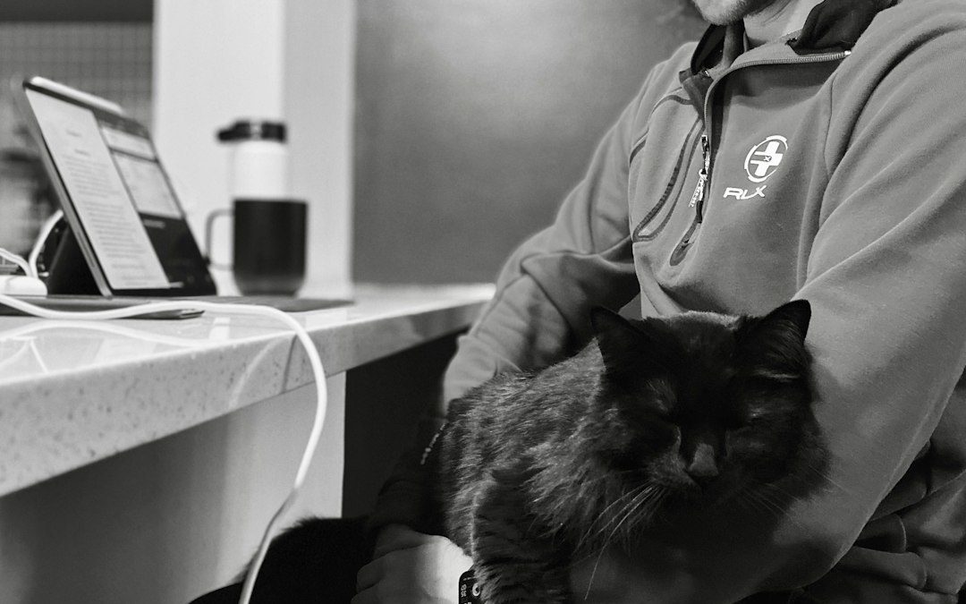 5 Veterinary Practice Management Tools That Help Improve Patient Care