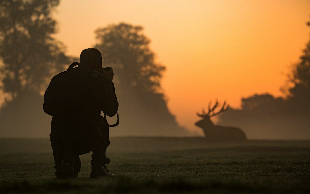 What Is a Telephoto Lens? Canon RF vs. Sony FE Telephoto Lenses Explained